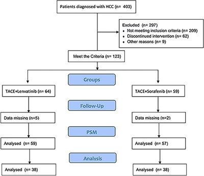 TACE Plus Lenvatinib Versus TACE Plus Sorafenib for Unresectable Hepatocellular Carcinoma With Portal Vein Tumor Thrombus: A Prospective Cohort Study